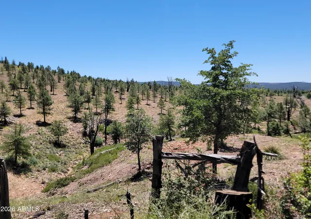 4th image of 41 & 42 Antelope Trl #41 & 42, Payson, AZ 85541 | MLS# 7029005