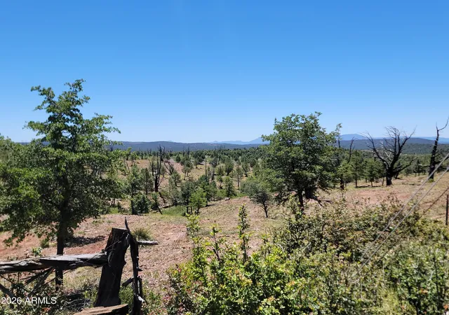 5th image of 41 & 42 Antelope Trl #41 & 42, Payson, AZ 85541 | MLS# 7029005