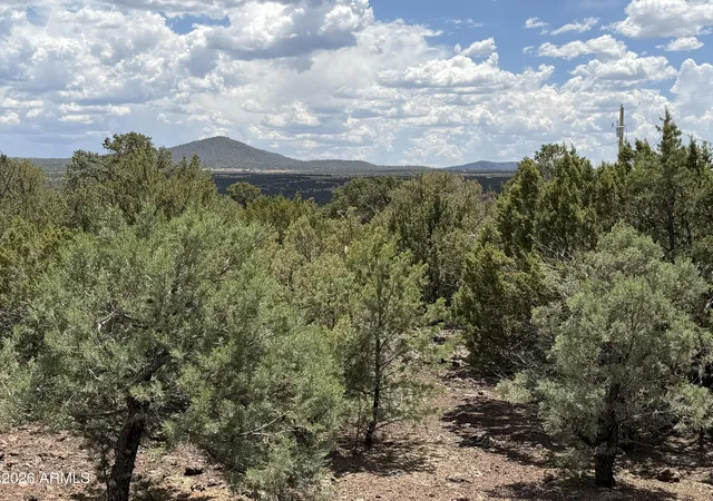 48th image of 26 Acr 3027, Vernon, AZ 85940 | MLS# 7030298