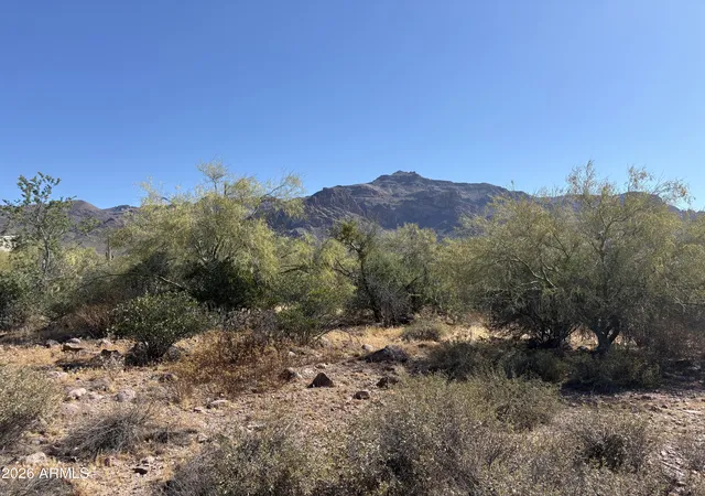 Photo 2 of Land for sale at 10890 E Cactus View Cir #9, Gold Canyon, AZ 85118 | MLS# 7029125 | Listing updated on 2026-07-20