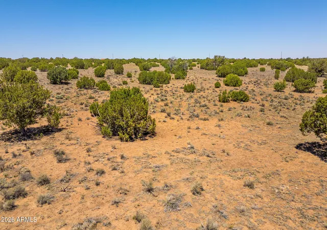 1st image of Tbd County Road 8643 #188, Concho, AZ 85924 | MLS# 7029501