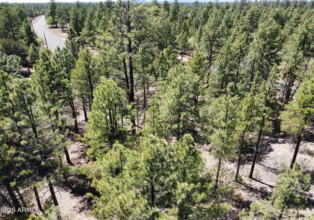 Homes for sale in Happy Jack, AZ | 4450 Blackfoot Cir #415, Happy Jack, AZ 86024 | MLS# 7030028