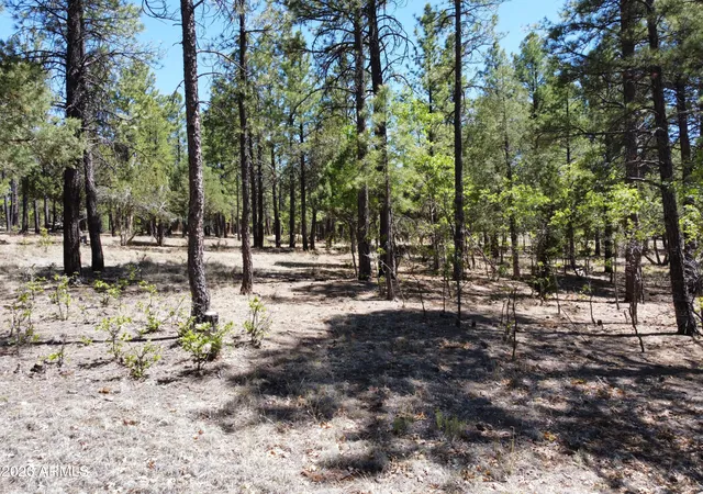 Homes for sale in Happy Jack, AZ | 4450 Blackfoot Cir #415, Happy Jack, AZ 86024 | MLS# 7030028