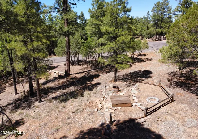 Homes for sale in Happy Jack, AZ | 4450 Blackfoot Cir #415, Happy Jack, AZ 86024 | MLS# 7030028