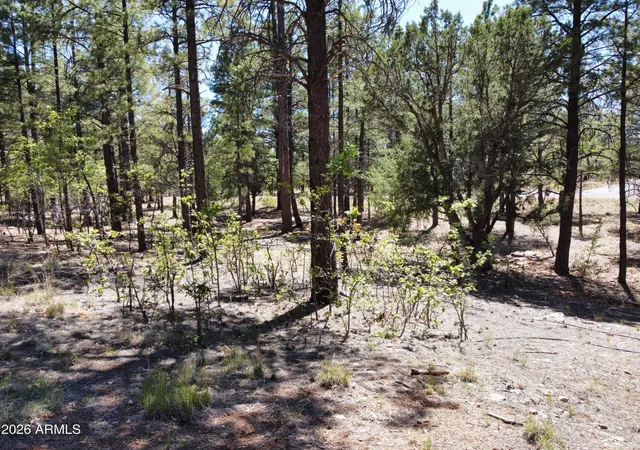 Homes for sale in Happy Jack, AZ | 4450 Blackfoot Cir #415, Happy Jack, AZ 86024 | MLS# 7030028