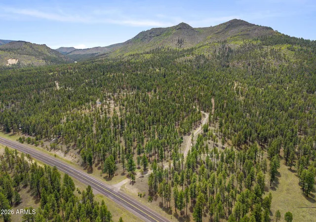 2nd image of 2184 N Hwy 191, Nutrioso, AZ 85932 | MLS# 7030624