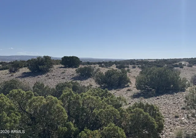 1st image of Lot 901 Woodland Valley Ranch #901, St Johns, AZ 85936 | MLS# 7030895