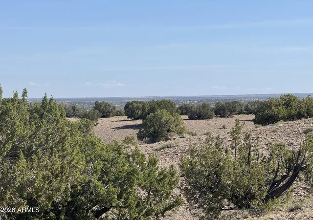 2nd image of Lot 901 Woodland Valley Ranch #901, St Johns, AZ 85936 | MLS# 7030895