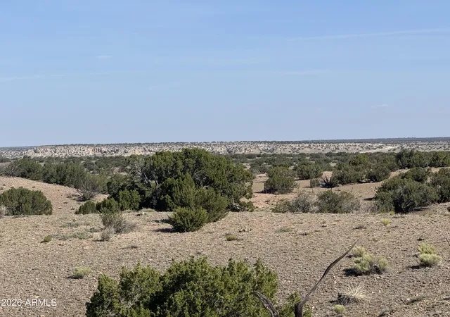 3rd image of Lot 901 Woodland Valley Ranch -- #901, St Johns, AZ 85936 | MLS# 7030895