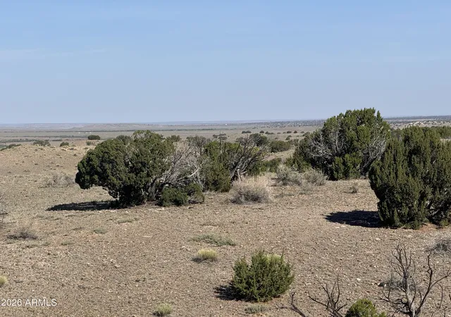 4th image of Lot 901 Woodland Valley Ranch -- #901, St Johns, AZ 85936 | MLS# 7030895