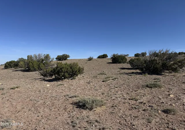 5th image of Lot 901 Woodland Valley Ranch -- #901, St Johns, AZ 85936 | MLS# 7030895