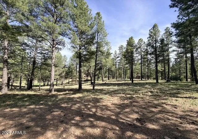 Photo 2 of Land for sale at 3698 S Woodland Hills Dr #383, Flagstaff, AZ 86005 | MLS# 7039705 | Listing updated on 2026-08-05