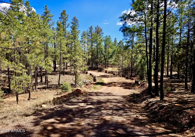 Homes for sale in Overgaard, AZ | 2060 Gilbert Ln, Overgaard, AZ 85933 | MLS# 7031538