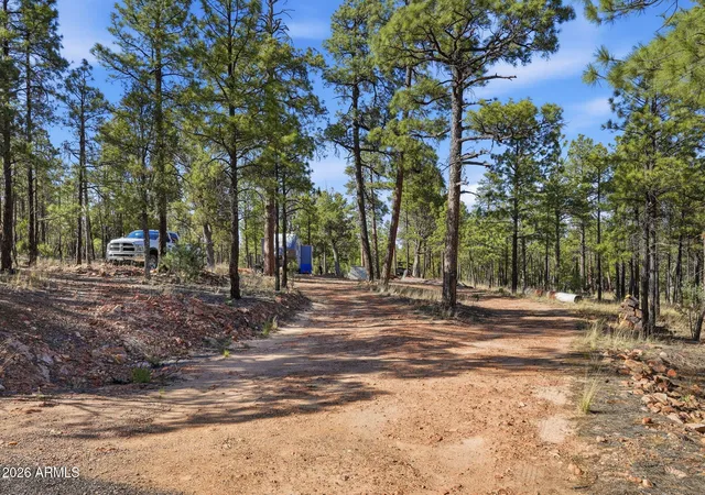 Homes for sale in Overgaard, AZ | 2060 Gilbert Ln, Overgaard, AZ 85933 | MLS# 7031538