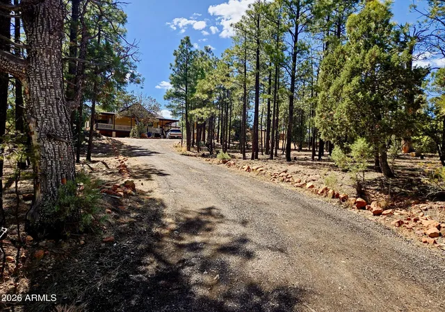 Homes for sale in Overgaard, AZ | 2060 Gilbert Ln, Overgaard, AZ 85933 | MLS# 7031538