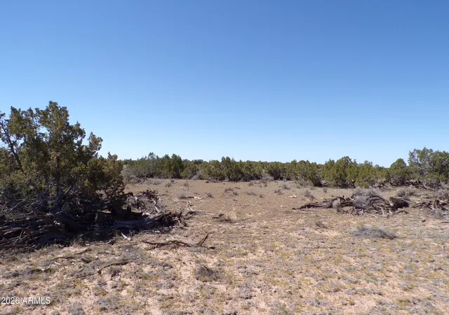 5th image of 105 US 191 --, Sanders, AZ 86512 | MLS# 7033185