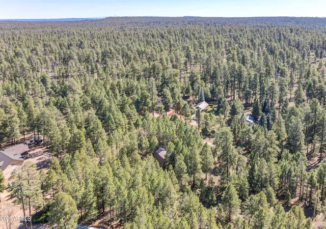 21st image of 1448 Mineral Dr, Forest Lakes, AZ 85931 | MLS# 7032419