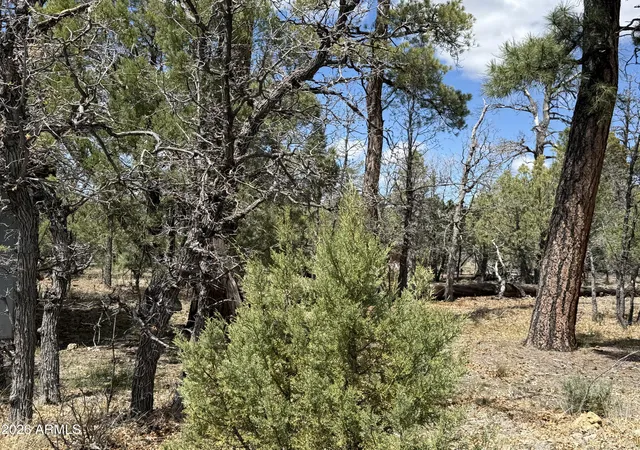 Photo 1 of Sale Pending at 1226 Green Ridge Dr #80, Happy Jack, AZ 86024 | MLS# 7035174 | Listing updated on 2026-09-03