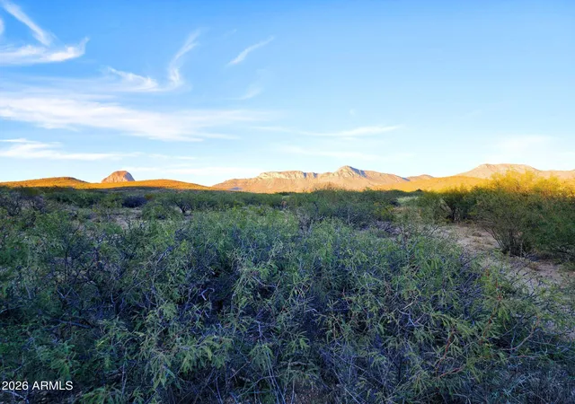Homes for sale in Florence, AZ | 45400 E Painted Sky Dr, Florence, AZ 85132 | MLS# 7035609