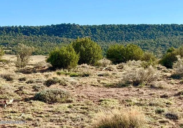 1st image of 85 Co Rd 8500 Acres, Concho, AZ 85924 | MLS# 7033509