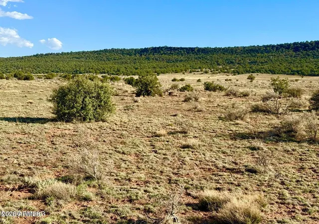 26th image of 85 Co Rd 8500 Acres, Concho, AZ 85924 | MLS# 7033509