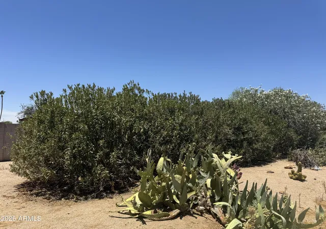 3rd image of 7131 E Cholla St, Scottsdale, AZ 85254 | MLS# 7034334