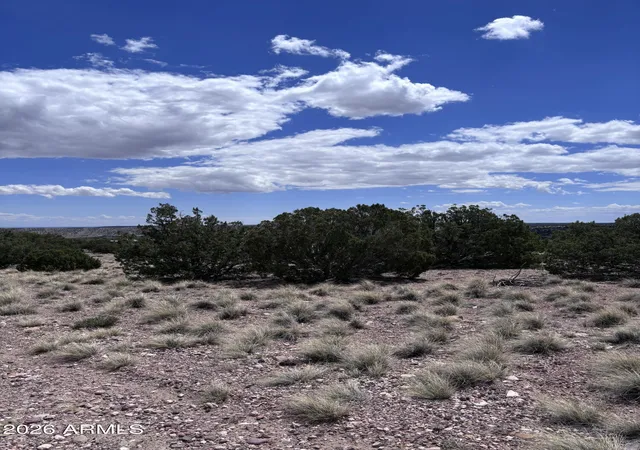 Homes for sale in Concho, AZ | 71 Gila Dr #1, Concho, AZ 85924 | MLS# 7034448