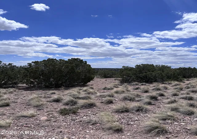 Homes for sale in Concho, AZ | 71 Gila Dr #1, Concho, AZ 85924 | MLS# 7034448
