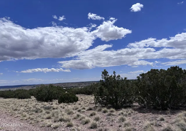Homes for sale in Concho, AZ | 71 Gila Dr #1, Concho, AZ 85924 | MLS# 7034448