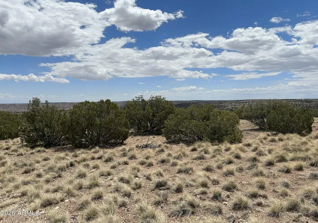 Homes for sale in Concho, AZ | 71 Gila Dr #1, Concho, AZ 85924 | MLS# 7034448