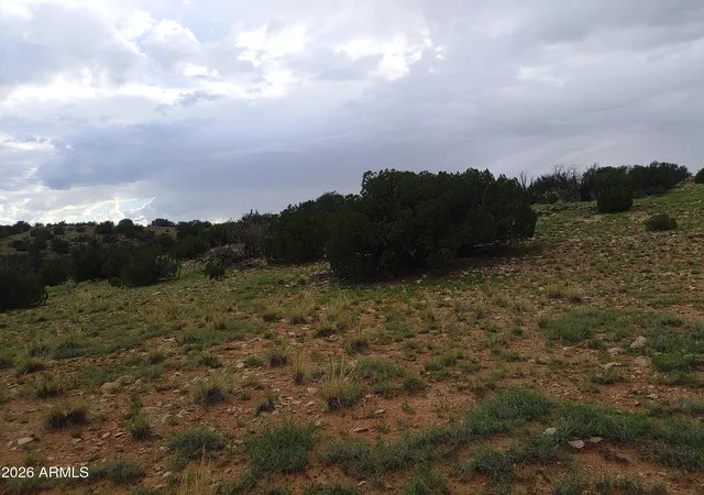 Photo 3 of Land for sale at -, Heber, AZ 85928 | MLS# 7034838 | Listing updated on 2026-08-15