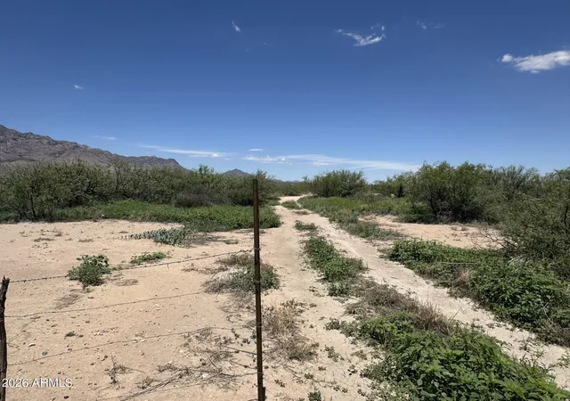 Photo 3 of Land for sale at 108 Ac Hannah Ln #B, San Simon, AZ 85632 | MLS# 7034621 | Listing updated on 2026-05-29
