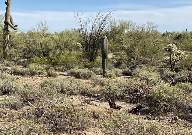 1st image of 0 N Hexcel Rd #A, Florence, AZ 85132 | MLS# 7035807