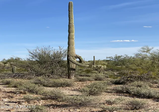 Photo 3 of Land for sale at 0 N Hexcel Rd #A, Florence, AZ 85132 | MLS# 7035807 | Listing updated on 2026-10-05