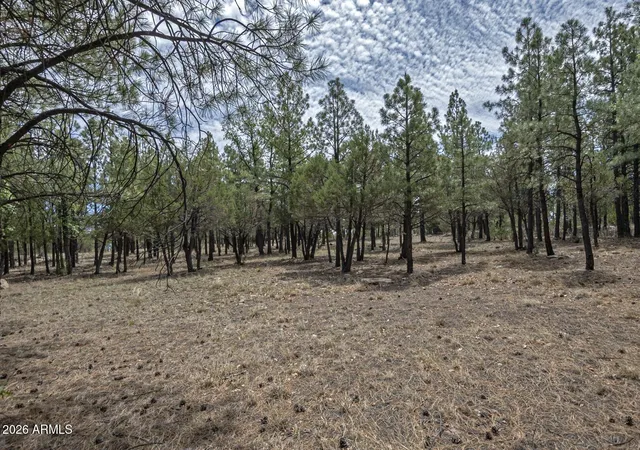 Homes for sale in Happy Jack, AZ | 4971 W Trail Cir, Happy Jack, AZ 86024 | MLS# 7035240