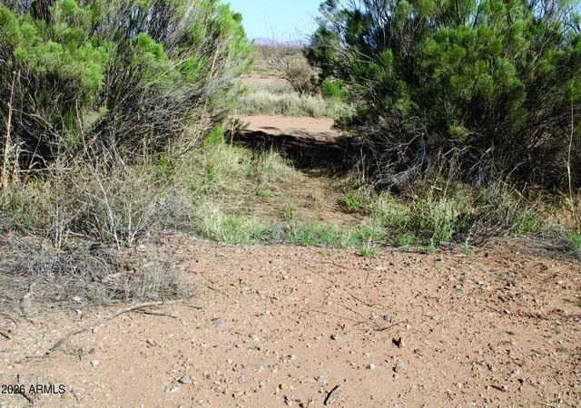 Homes for sale in Willcox, AZ | 40 Acres S Wayward Winds Rd #0, Willcox, AZ 85643 | MLS# 7035246