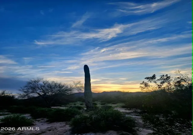 30th image of 1523 S Warren Rd, Maricopa, AZ 85139 | MLS# 7035614