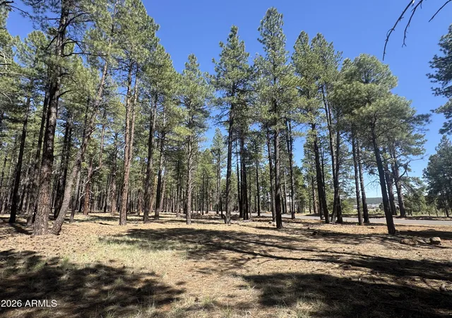 Homes for sale in Flagstaff, AZ | 7690 W Taylor Springs Ln #63, Flagstaff, AZ 86001 | MLS# 7035453