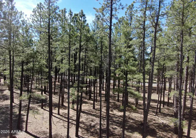 Homes for sale in Flagstaff, AZ | 7690 W Taylor Springs Ln #63, Flagstaff, AZ 86001 | MLS# 7035453