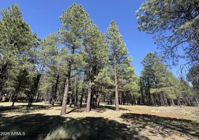 Homes for sale in Flagstaff, AZ | 8252 Vista Peak Wy #70, Flagstaff, AZ 86001 | MLS# 7035456