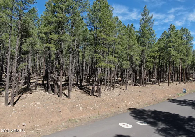 Homes for sale in Flagstaff, AZ | 9576 Ranch At The Peaks Wy #66, Flagstaff, AZ 86001 | MLS# 7035459