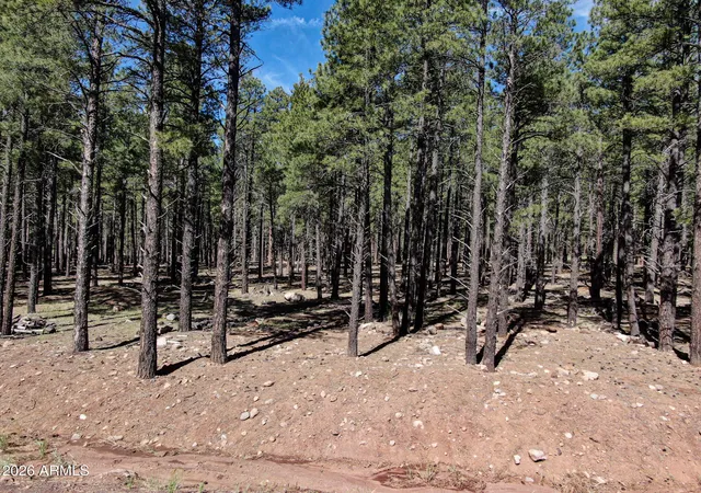 Homes for sale in Flagstaff, AZ | 9576 Ranch At The Peaks Wy #66, Flagstaff, AZ 86001 | MLS# 7035459