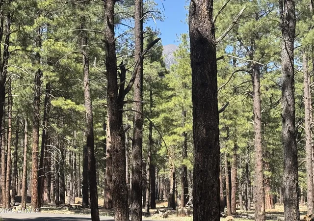 Homes for sale in Flagstaff, AZ | 9576 Ranch At The Peaks Wy #66, Flagstaff, AZ 86001 | MLS# 7035459