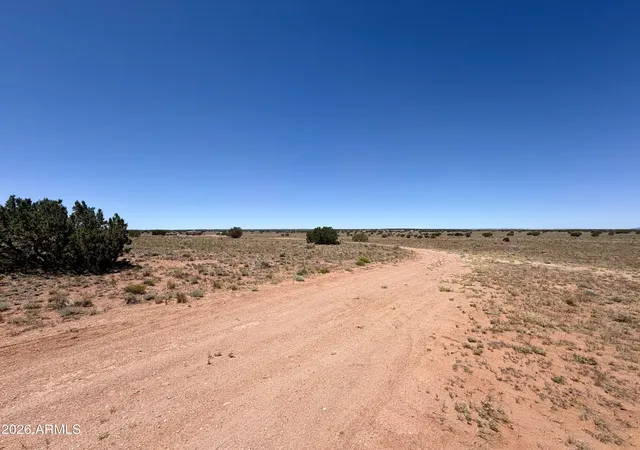 Homes for sale in Heber, AZ | 2659 Duck Lake Rd, Heber, AZ 85928 | MLS# 7035656