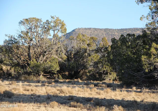 Photo 3 of Sale Pending at Wrangler R Wrangler Ridge Rd #301118203, Seligman, AZ 86337 | MLS# 7035853 | Listing updated on 2026-07-15