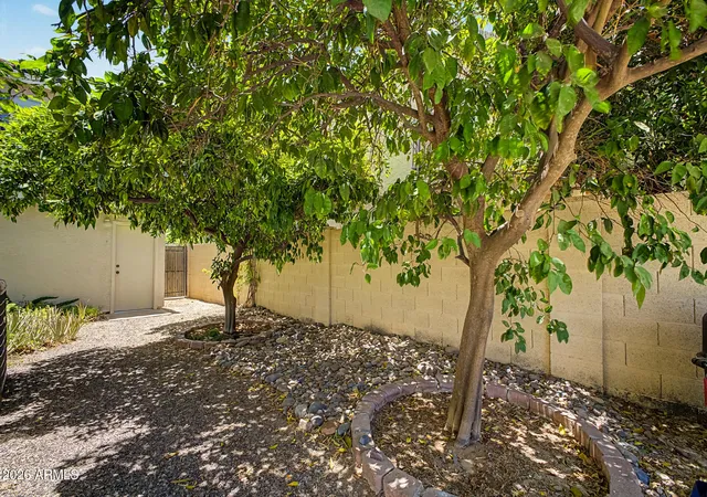 50th image of 1022 W Juanita Ave, Gilbert, AZ 85233 | MLS# 7036076