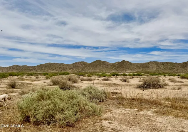 Homes for sale in Eloy, AZ | Tbd Peart Rd 125 Acres, Eloy, AZ 85131 | MLS# 7036068