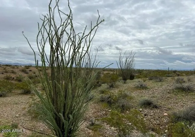 Photo 2 of Land for sale at 0003 W Highland Ave, Tonopah, AZ 85354 | MLS# 7036334 | Listing updated on 2026-06-02