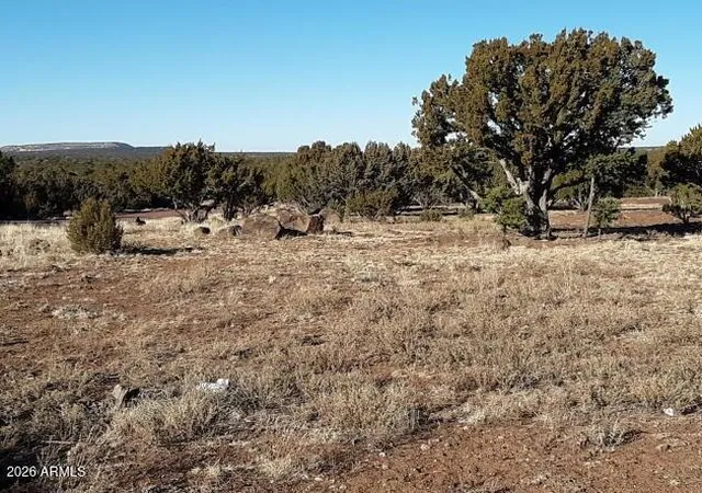 Homes for sale in Concho, AZ | 1 County Rd 8060, Concho, AZ 85924 | MLS# 7037110