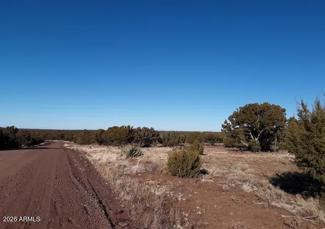 Homes for sale in Concho, AZ | 1 County Rd 8060 --, Concho, AZ 85924 | MLS# 7037110